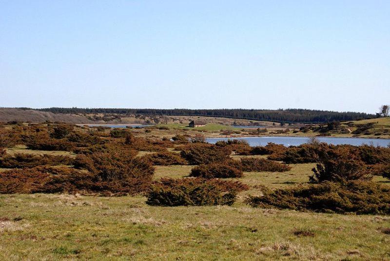 Hedelandets Camping Sevel Exterior foto